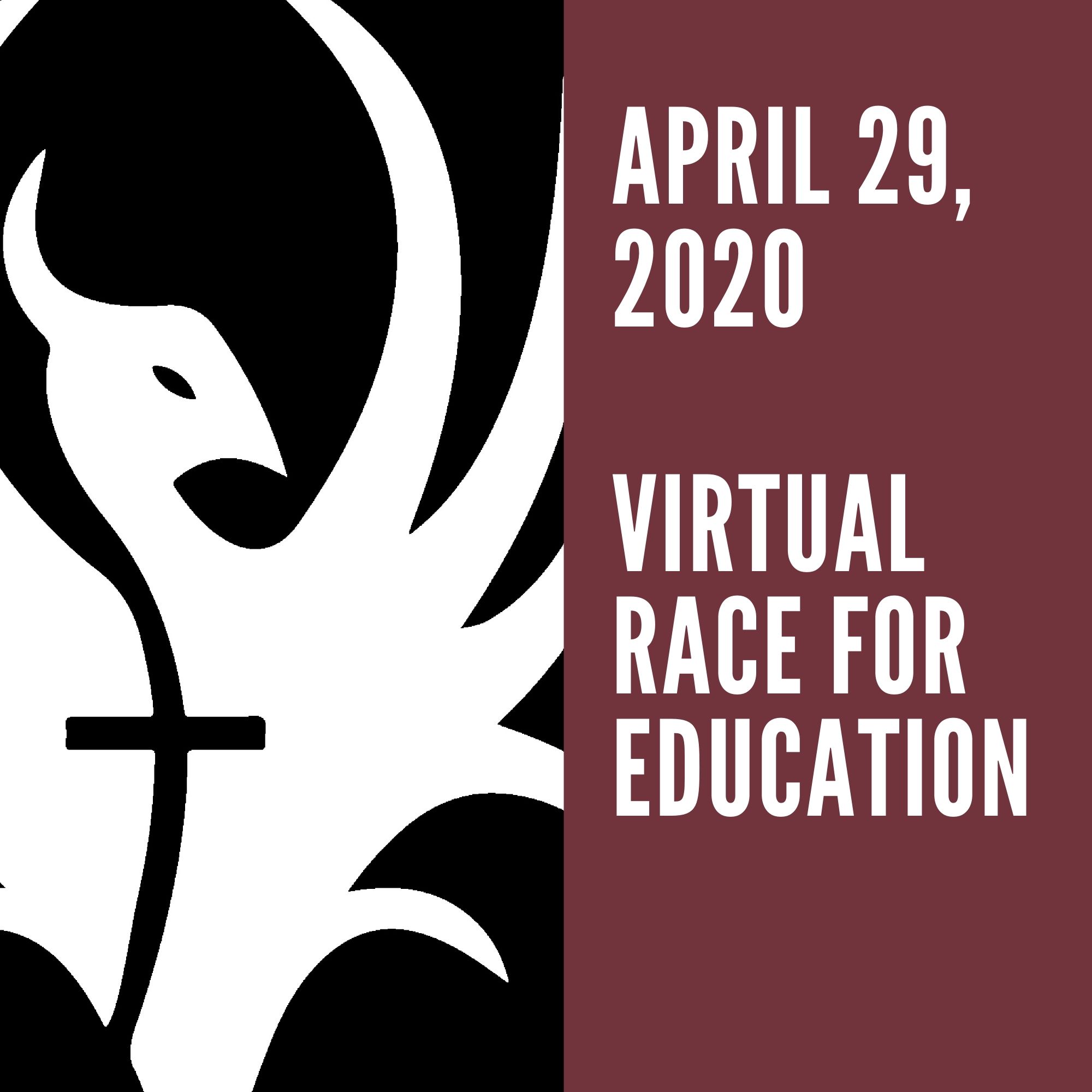 2020 virtual race for education
